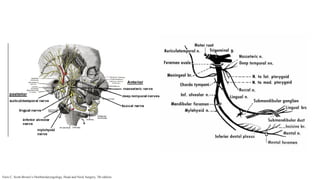 Faris C. Scott-Brown’s Otorhinolaryngology, Head and Neck Surgery, 7th edition.
 