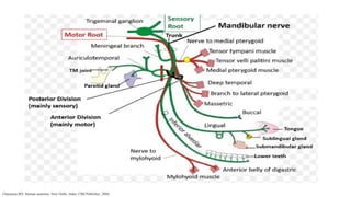 Chaurasia BD. Human anatomy. New Delhi, India: CBS Publisher; 2004.
 