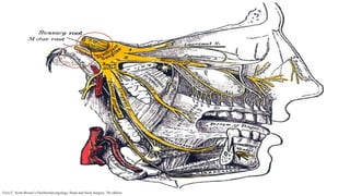 Faris C. Scott-Brown’s Otorhinolaryngology, Head and Neck Surgery, 7th edition.
 