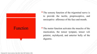 Function
 The sensory function of the trigeminal nerve is
to provide the tactile, proprioceptive, and
nociceptive afference of the face and mouth.
 The motor function activates the muscles of the
mastication, the tensor tympani, tensor veli
palatini, mylohyoid, and anterior belly of the
digastric.
Chaurasia BD. Human anatomy. New Delhi, India: CBS Publisher; 2004.
 