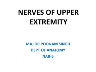 NERVES OF UPPER
EXTREMITY
MAJ DR POONAM SINGH
DEPT OF ANATOMY
NAIHS
 