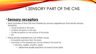 1.SENSORY PART OF THE CNS
•Sensory receptors
• Most activities of the CNS are initiated by sensory experiences that excite sensory
receptors
• visual receptors in the eyes
• Auditory receptors in the ears
• Tactile receptors on the surface of the body
• Etc
• These sensory experiences can either cause
• immediate reactions from the brain
• memories of the experiences can be stored in the brain for
• minutes, weeks, months, years
• determine bodily reactions at some future date
 