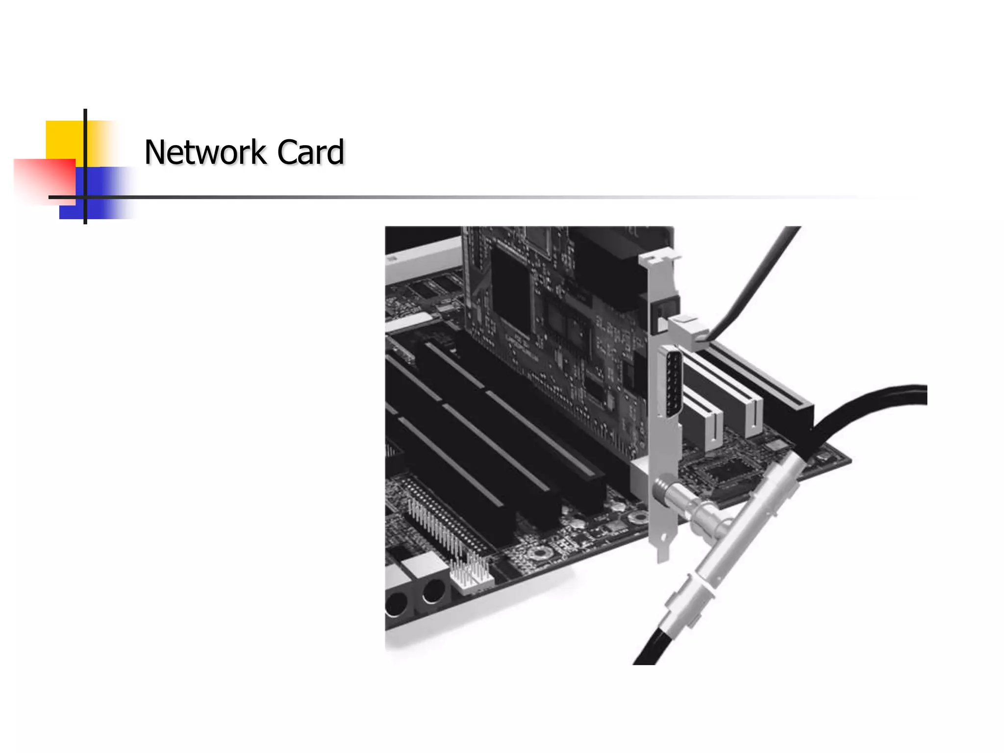 Network Card
 