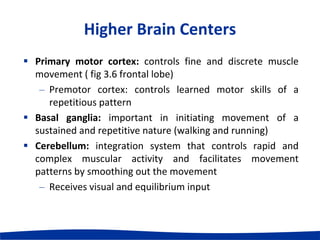 1 neural control of exercising muscle | PPT