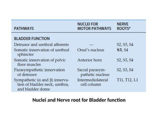 # 1 Neuroanatomy_and_Physiology_of_bladder_and_bowel_with_clinical ...