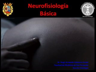 9:02 a. m.
Neurofisiología
Básica
Dr. Hugo Armando Cebreros Conde
Facultad de Medicina de San Fernando
Sección Fisiología
 