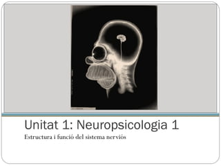 Unitat 1: Neuropsicologia 1
Estructura i funció del sistema nerviós
 