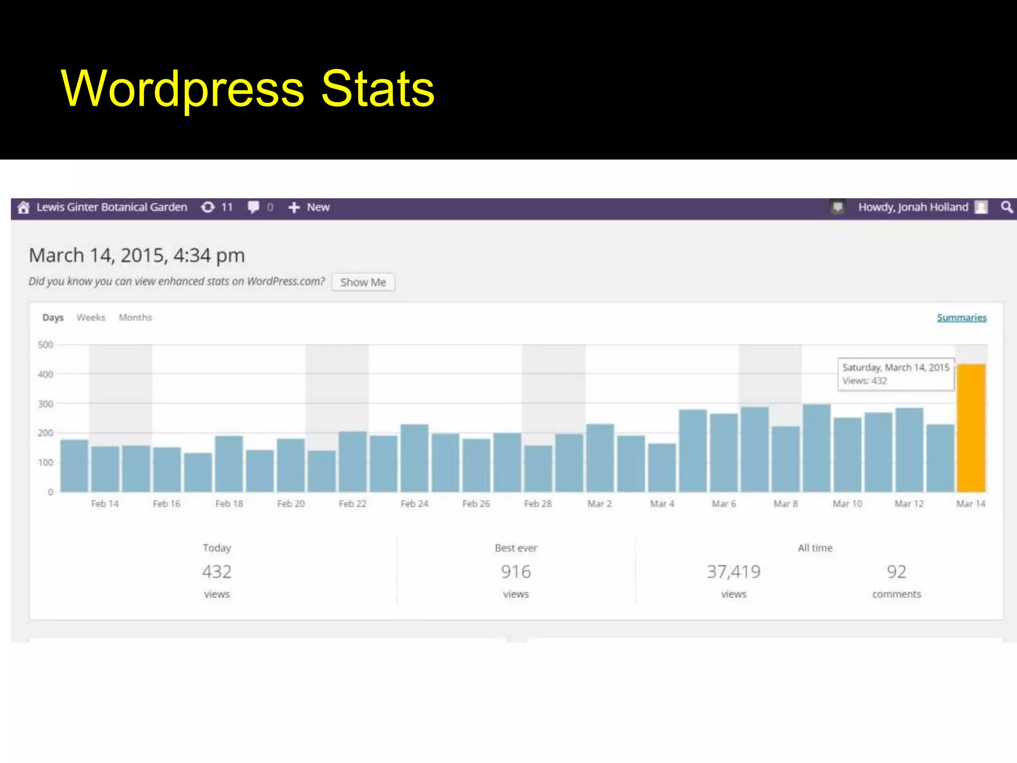 Wordpress Stats
 