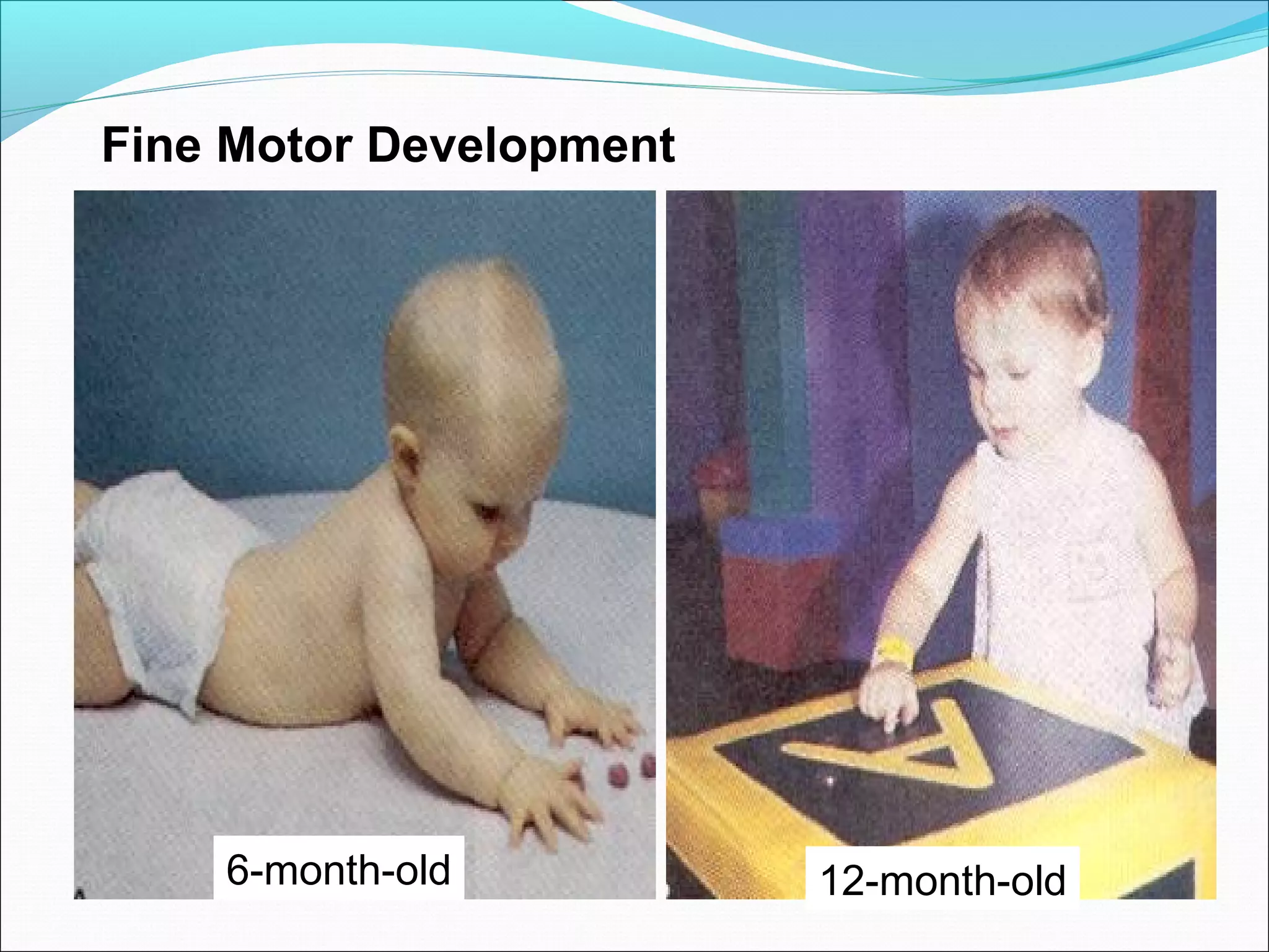 6-month-old 12-month-old
Fine Motor Development
 