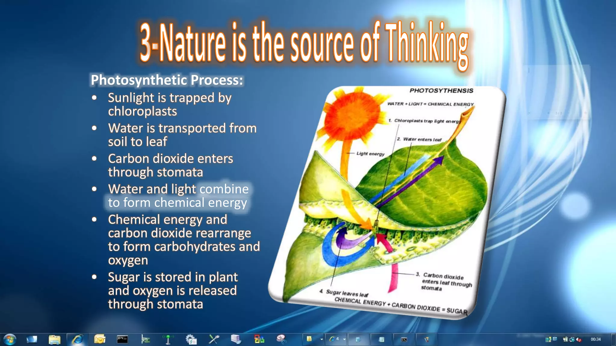 Photosynthetic Process:
• Sunlight is trapped by
chloroplasts
• Water is transported from
soil to leaf
• Carbon dioxide enters
through stomata
• Water and light combine
to form chemical energy
• Chemical energy and
carbon dioxide rearrange
to form carbohydrates and
oxygen
• Sugar is stored in plant
and oxygen is released
through stomata
 