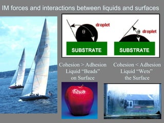 1 New Van der Waals Forces PowerPoint presenration | PPT