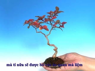 mà tí nữa sẽ được bỏ vào áo quan mà liệmmà tí nữa sẽ được bỏ vào áo quan mà liệm
 