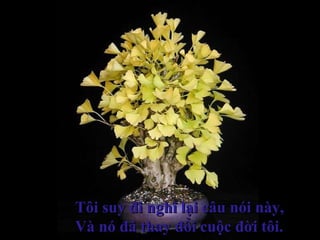 Tôi suy đi nghĩ lại câu nói này,Tôi suy đi nghĩ lại câu nói này,
Và nó đã thay đổi cuộc đời tôi.Và nó đã thay đổi cuộc đời tôi.
 