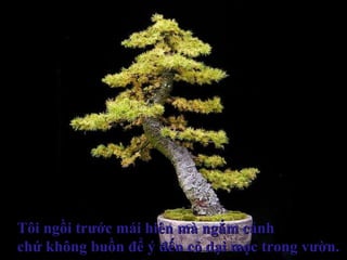 Tôi ngồi trước mái hiên mà ngắm cảnhTôi ngồi trước mái hiên mà ngắm cảnh
chứ không buồn để ý đến cỏ dại mọc trong vườn.chứ không buồn để ý đến cỏ dại mọc trong vườn.
 