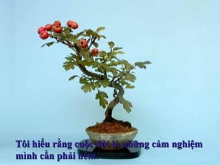 Tôi hiểu rằng cuộc đời là những cảm nghiệmTôi hiểu rằng cuộc đời là những cảm nghiệm
mình cần phải nếm.mình cần phải nếm.
 