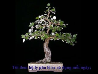 Tôi đem bộ ly pha lê ra sử dụng mỗi ngày;Tôi đem bộ ly pha lê ra sử dụng mỗi ngày;
 