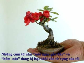 Những cụm từ như “một ngày gần đây” vàNhững cụm từ như “một ngày gần đây” và
““hôm nào” đang bị loại khỏi vốn từ vựng của tôihôm nào” đang bị loại khỏi vốn từ vựng của tôi
 
