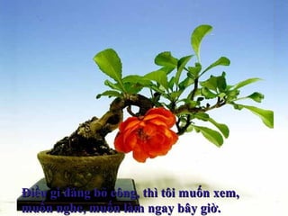 Điều gì đáng bỏ công, thì tôi muốn xem,Điều gì đáng bỏ công, thì tôi muốn xem,
muốn nghe, muốn làm ngay bây giờ.muốn nghe, muốn làm ngay bây giờ.
 
