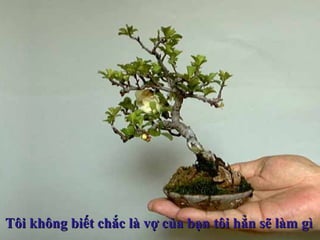 Tôi không biết chắc là vợ của bạn tôi hẳn sẽ làm gìTôi không biết chắc là vợ của bạn tôi hẳn sẽ làm gì
 
