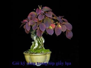 Gói kỹ càng trong lớp giấy lụaGói kỹ càng trong lớp giấy lụa
 