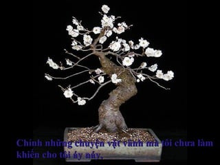 Chính những chuyện vặt vãnh mà tôi chưa làmChính những chuyện vặt vãnh mà tôi chưa làm
khiến cho tôi áy náy,khiến cho tôi áy náy,
 