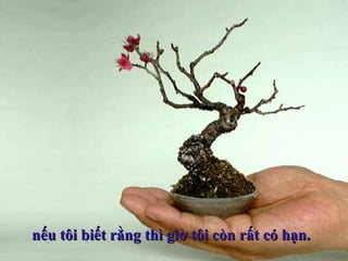nếu tôi biết rằng thì giờ tôi còn rất có hạn.nếu tôi biết rằng thì giờ tôi còn rất có hạn.
 