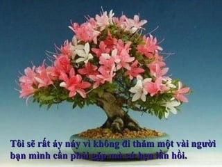 Tôi sẽ rất áy náy vì không đi thăm một vài ngườiTôi sẽ rất áy náy vì không đi thăm một vài người
bạn mình cần phải gặp mà cứ hẹn lần hồi.bạn mình cần phải gặp mà cứ hẹn lần hồi.
 