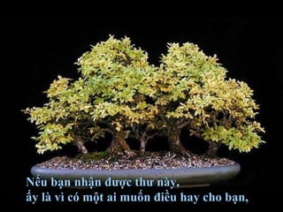 Nếu bạn nhận được thư này,Nếu bạn nhận được thư này,
ấy là vì có một ai muốn điều hay cho bạn,ấy là vì có một ai muốn điều hay cho bạn,
 