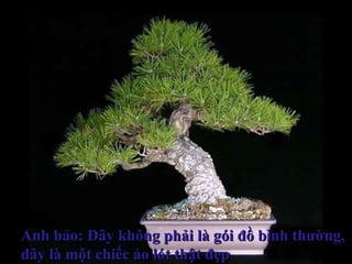 Anh bảo: Đây không phải là gói đồ bình thường,Anh bảo: Đây không phải là gói đồ bình thường,
đây là một chiếc áo lót thật đẹpđây là một chiếc áo lót thật đẹp
 
