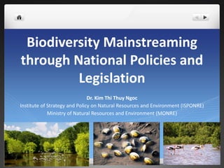 Biodiversity Mainstreaming
through National Policies and
Legislation
Dr. Kim Thi Thuy Ngoc
Institute of Strategy and Polic...
