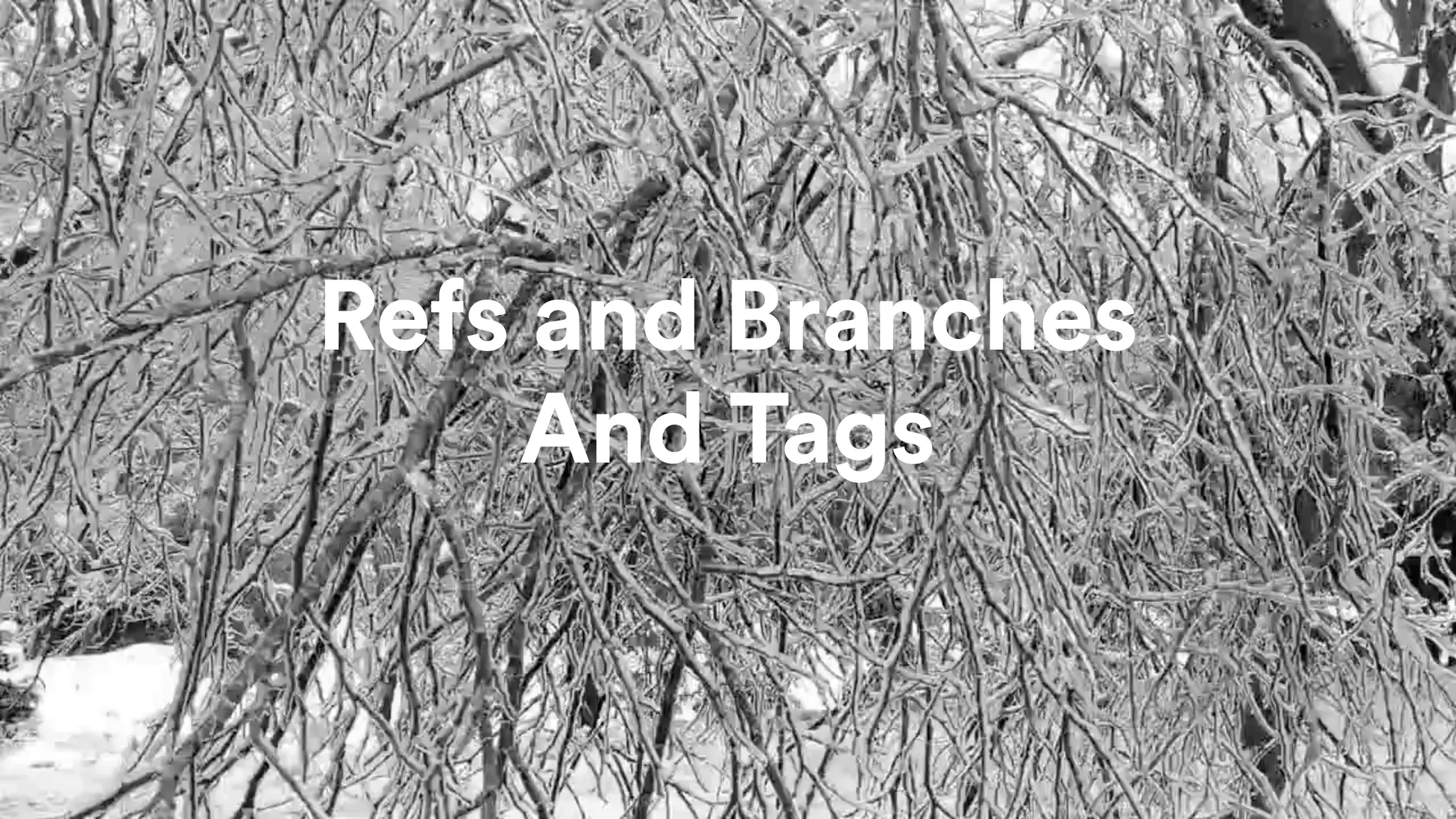 @tarkasteve
Refs and Branches
And Tags
 