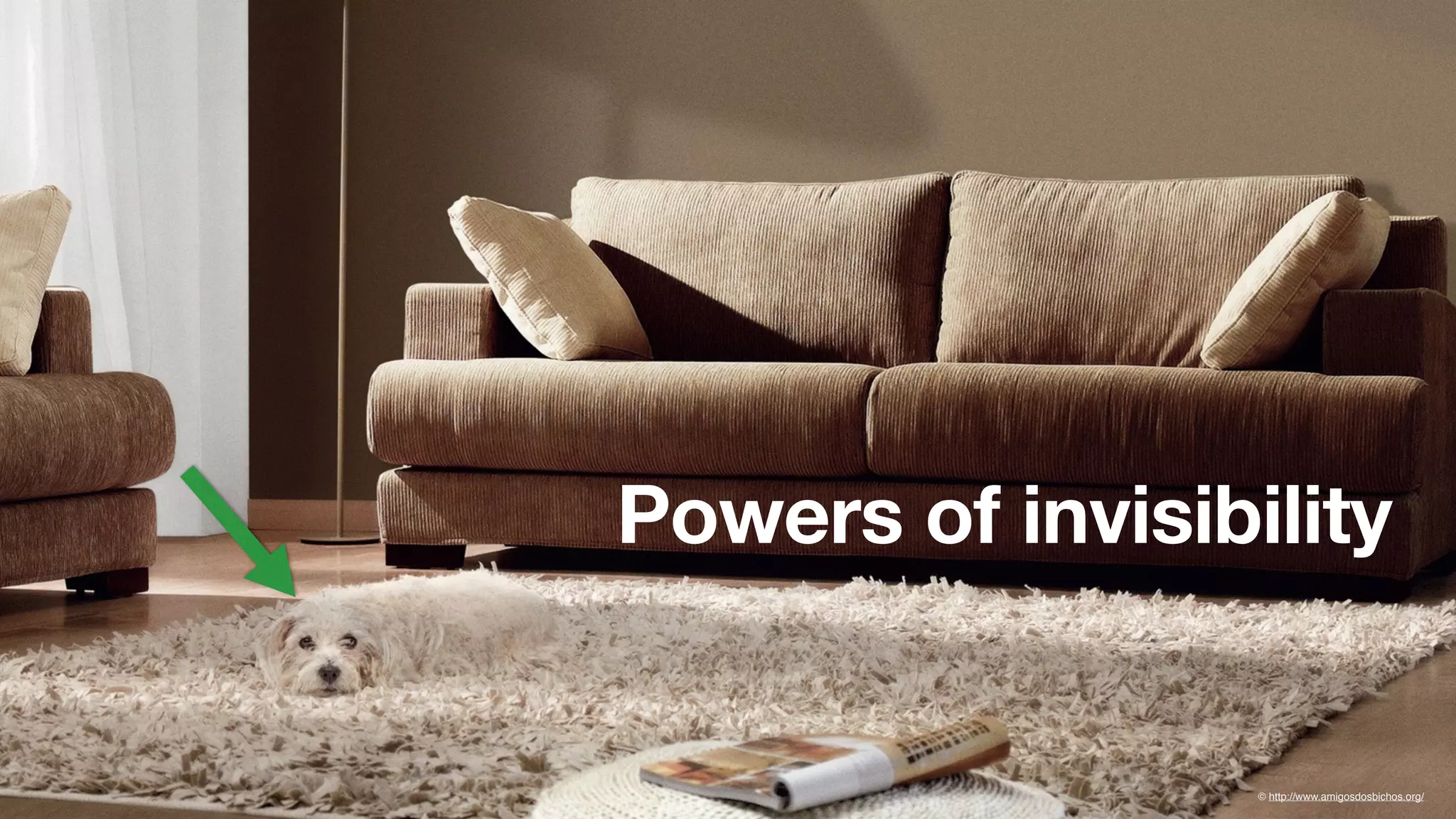 © http://www.amigosdosbichos.org/
Powers of invisibility
 