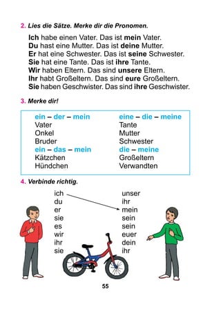55
2. Lies die Sätze. Merke dir die Pronomen.
Ich habe einen Vater. Das ist mein Vater.
Du hast eine Mutter. Das ist deine Mutter.
Er hat eine Schwester. Das ist seine Schwester.
Sie hat eine Tante. Das ist ihre Tante.
Wir haben Eltern. Das sind unsere Eltern.
Ihr habt Großeltern. Das sind eure Großeltern.
Sie haben Geschwister. Das sind ihre Geschwister.
3. Merke dir!
ein – der – mein		 eine – die – meine
Vater					 Tante
Onkel				 Mutter
Bruder				Schwester
ein – das – mein		 die – meine
Kätzchen				Großeltern
Hündchen				 Verwandten
4. Verbinde richtig.
ich	unser
du	ihr
er	mein
sie	sein
es	sein
wir	euer
ihr	dein
sie	ihr
 