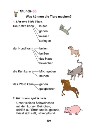 100
Stunde 83
Was können die Tiere machen?
1. Lies und bilde Sätze.
Die Katze kann	 laufen
	gehen
	miauen
	springen
der Hund kann	 bellen
	 beißen
	 das Haus
	 bewachen
die Kuh kann	 Milch geben
	muhen
das Pferd kann	 gehen
	galoppieren
2. Hör zu und sprich nach.
Unser kleines Schweinchen
mit den kurzen Beinchen,
schläft auf Stroh und ist gesund,
Frisst sich satt, ist kugelrund.
 