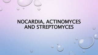 NOCARDIA, ACTINOMYCES
AND STREPTOMYCES
 