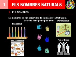 1      ELS NOMBRES NATURALS
    1. ELS NOMBRES

    Els nombres es fan servir des de fa més de 10000 anys.
                  Els seus usos principals són:   Per mesurar
       Per contar




      Per comparar                                Per ordenar
 