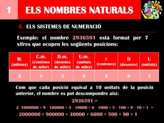 1        ELS NOMBRES NATURALS
     3. ELS SISTEMES DE NUMERACIÓ
    Exemple: el nombre 2936591 està format per 7
    xifres que ocupen les següents posicions:

    M.        C.m.       D.m.        U.m.           C           D          U
            (centenes   (desenes     (unitats   (centenes)
(milions)                                                    (desenes) (unitats)
            de miler)   de miler)   de miler)

     2          9          3           6            5           9          1

    Com que cada posició equival a 10 unitats de la posició
    anterior, el nombre es pot descompondre així:
                             2936591 =
    2 ·1000000 + 9 · 100000 + 3 · 10000 + 6 · 1000 + 5 · 100 + 9 · 10 + 1 =
     2000000 + 900000 + 30000 + 6000 + 500 + 90 + 1
 