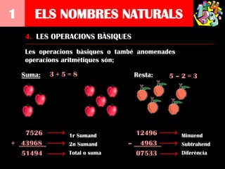 1      ELS NOMBRES NATURALS
    4. LES OPERACIONS BÀSIQUES
    Les operacions bàsiques o també anomenades
    operacions aritmètiques són;

    Suma:   3+5=8                 Resta:    5–2=3




   7526         1r Sumand        12496           Minuend
+ 43968         2n Sumand       – 4963           Subtrahend
  51494         Total o suma     07533           Diferència
 