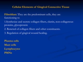 Fibroblast: They are the predominant cells, they are
functioning to
1.Synthesize and secrete collagen fibers, elastin, non-collagenous
proteins, glycoprotein
2. Renewal of collagen fibers and other constituents.
3. Regulation of gingival wound healing.
Plasma cells
Mast cells
Lymphocytes
PMNs
Cellular Elements of Gingival Connective Tissue
 