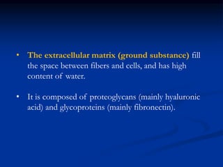 • The extracellular matrix (ground substance) fill
the space between fibers and cells, and has high
content of water.
• It is composed of proteoglycans (mainly hyaluronic
acid) and glycoproteins (mainly fibronectin).
 