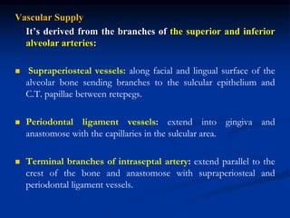 Vascular Supply
It’s derived from the branches of the superior and inferior
alveolar arteries:
 Supraperiosteal vessels: along facial and lingual surface of the
alveolar bone sending branches to the sulcular epithelium and
C.T. papillae between retepegs.
 Periodontal ligament vessels: extend into gingiva and
anastomose with the capillaries in the sulcular area.
 Terminal branches of intraseptal artery: extend parallel to the
crest of the bone and anastomose with supraperiosteal and
periodontal ligament vessels.
 