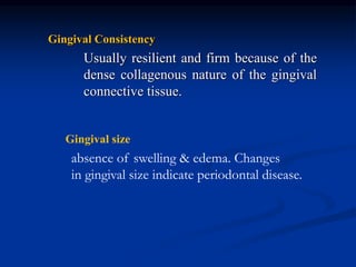 Gingival Consistency
Usually resilient and firm because of the
dense collagenous nature of the gingival
connective tissue.
Gingival size
absence of swelling & edema. Changes
in gingival size indicate periodontal disease.
 