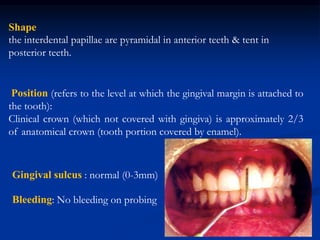 Shape
the interdental papillae are pyramidal in anterior teeth & tent in
posterior teeth.
Position (refers to the level at which the gingival margin is attached to
the tooth):
Clinical crown (which not covered with gingiva) is approximately 2/3
of anatomical crown (tooth portion covered by enamel).
Gingival sulcus : normal (0-3mm)
Bleeding: No bleeding on probing
 