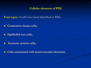 Cellular elements of PDL
Four types of cells have been identified in PDL:
 Connective tissue cells,
 Epithelial rest cells,
 Immune system cells,
 Cells associated with neurovascular elements.
 