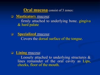  Masticatory mucosa:
firmly attached to underlying bone. gingiva
& hard palate
 Specialized mucosa:
Covers the dorsal surface of the tongue.
 Lining mucosa:
Loosely attached to underlying structures &
lines remainder of the oral cavity as Lips,
cheeks, floor of the mouth.
Oral mucosa consist of 3 zones:
 