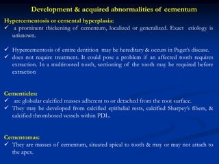Hypercementosis or cemental hyperplasia:
 a prominent thickening of cementum, localized or generalized. Exact etiology is
unknown.
 Hypercementosis of entire dentition may be hereditary & occurs in Paget’s disease.
 does not require treatment. It could pose a problem if an affected tooth requires
extraction. In a multirooted tooth, sectioning of the tooth may be required before
extraction
Cementicles:
 are globular calcified masses adherent to or detached from the root surface.
 They may be developed from calcified epithelial rests, calcified Sharpey’s fibers, &
calcified thrombosed vessels within PDL.
Cementomas:
 They are masses of cementum, situated apical to tooth & may or may not attach to
the apex.
Development & acquired abnormalities of cementum
 