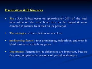 • Site : Such defects occur on approximately 20% of the teeth
more often on the facial bone than on the lingual & more
common in anterior teeth than on the posterior.
• The etiologies of these defects are not clear;
• predisposing factors : root prominence, malposition, and teeth in
labial version with thin bony plates.
• Importance: Fenestration & dehiscence are important, because
they may complicate the outcome of periodontal surgery.
Fenestrations & Dehiscences
 