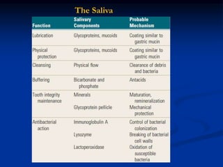 The Saliva
 