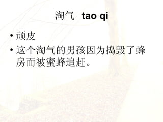   tao qi Ƥ кΪ˷䷿۷׷ϡ   