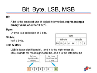 Number System- binary octal hexadecimal numbers | PPT